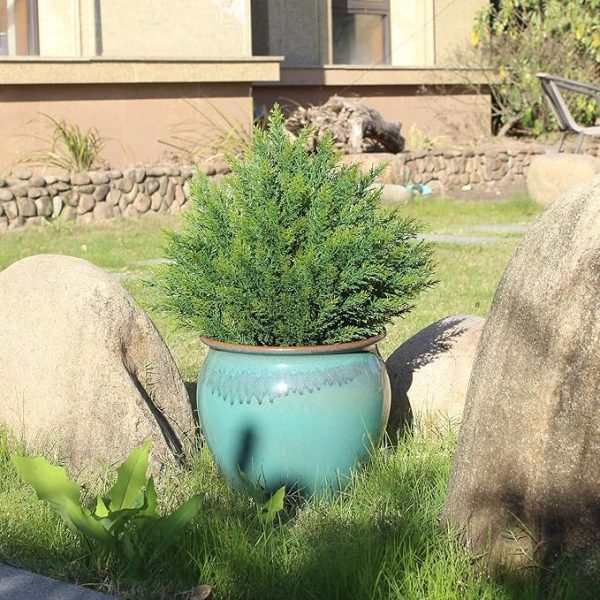 Artificial Topiary Ball Tree 19''T Faux Little Bush Ball Tree UV Resistant Shrub Potted Artificial Plant for Outdoor Indoor Front Porch Garden - Image 5